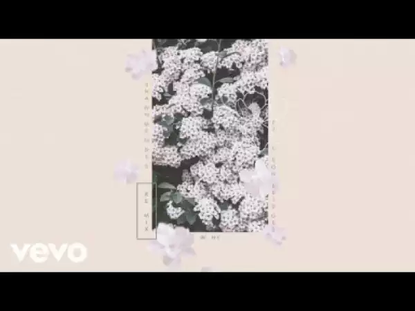 Shawn Mendes - Why (Remix) ft. Leon Bridges